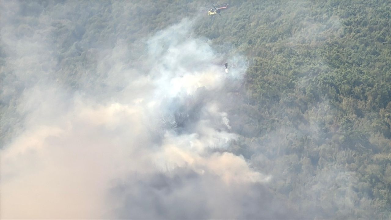 Bartın Ulus'ta Küre Dağları'ndaki orman yangınına havadan ve karadan müdahale sürüyor