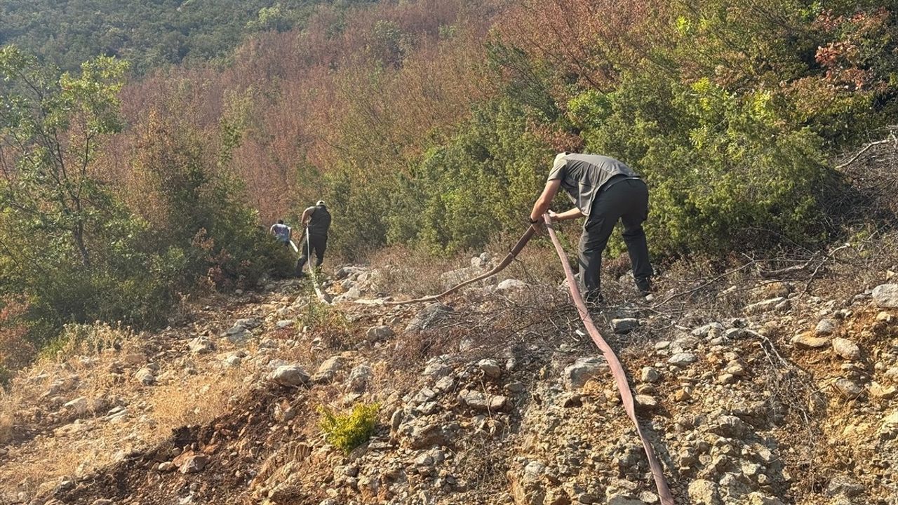 Bartın Ulus'ta Küre Dağları sınırındaki orman yangını kontrol altına alındı