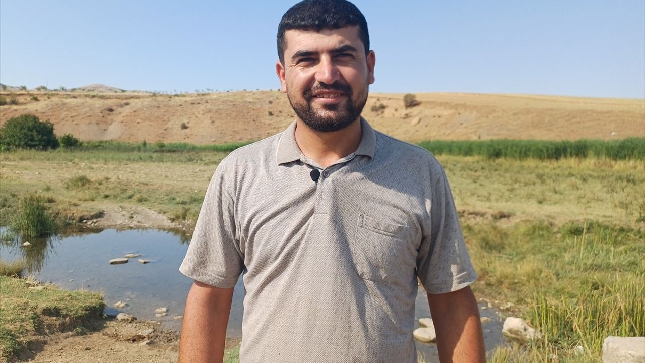 Batman'da Fıstık Üreticileri Hasat Öncesi Sulama Yürütüyor