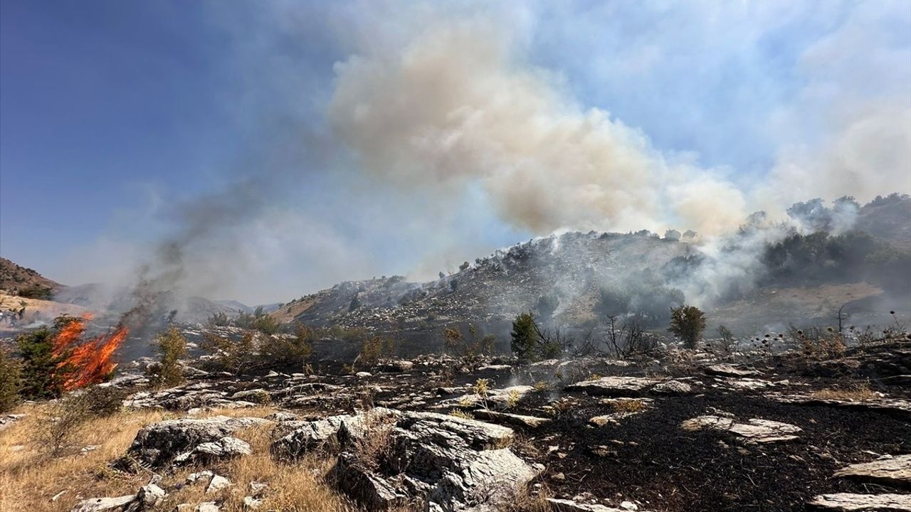 Bingöl'ün Genç ilçesinde orman yangını: müdahale sürüyor