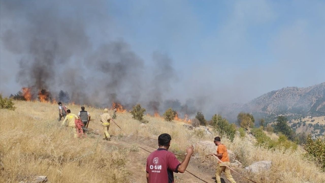 Bingöl'ün Genç ilçesinde ormanlık alanda çıkan yangın kontrol altına alındı