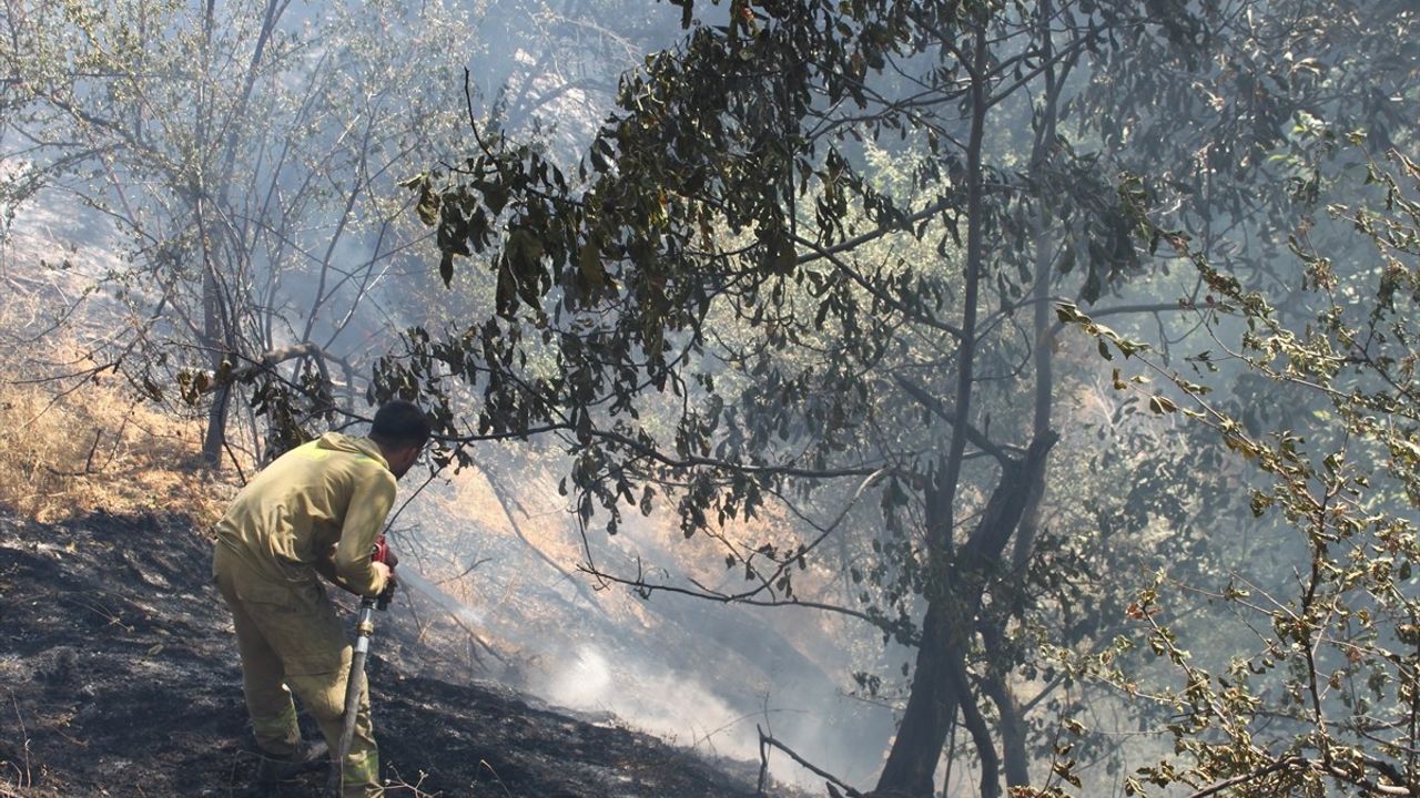 Bitlis Hizan'da Yelkıran köyündeki ağaçlık yangın ekiplerce söndürüldü