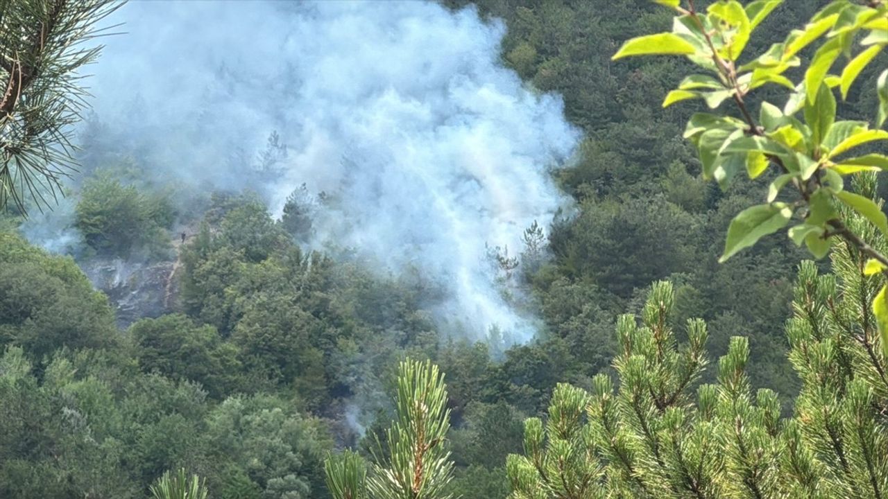 Bolu'da Ormanlık Alanda Yangın Çıktı: Müdahale Sürüyor