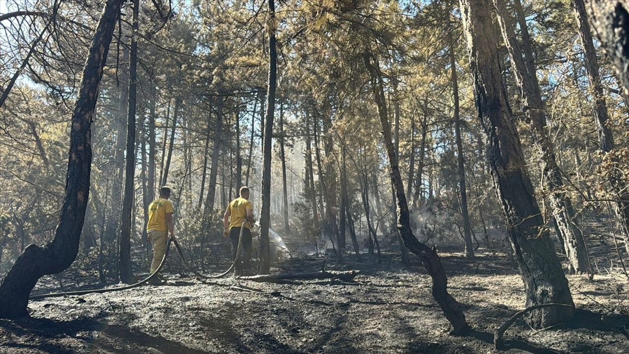 Bolu'daki Orman Yangını Kısmen Kontrol Altına Alındı