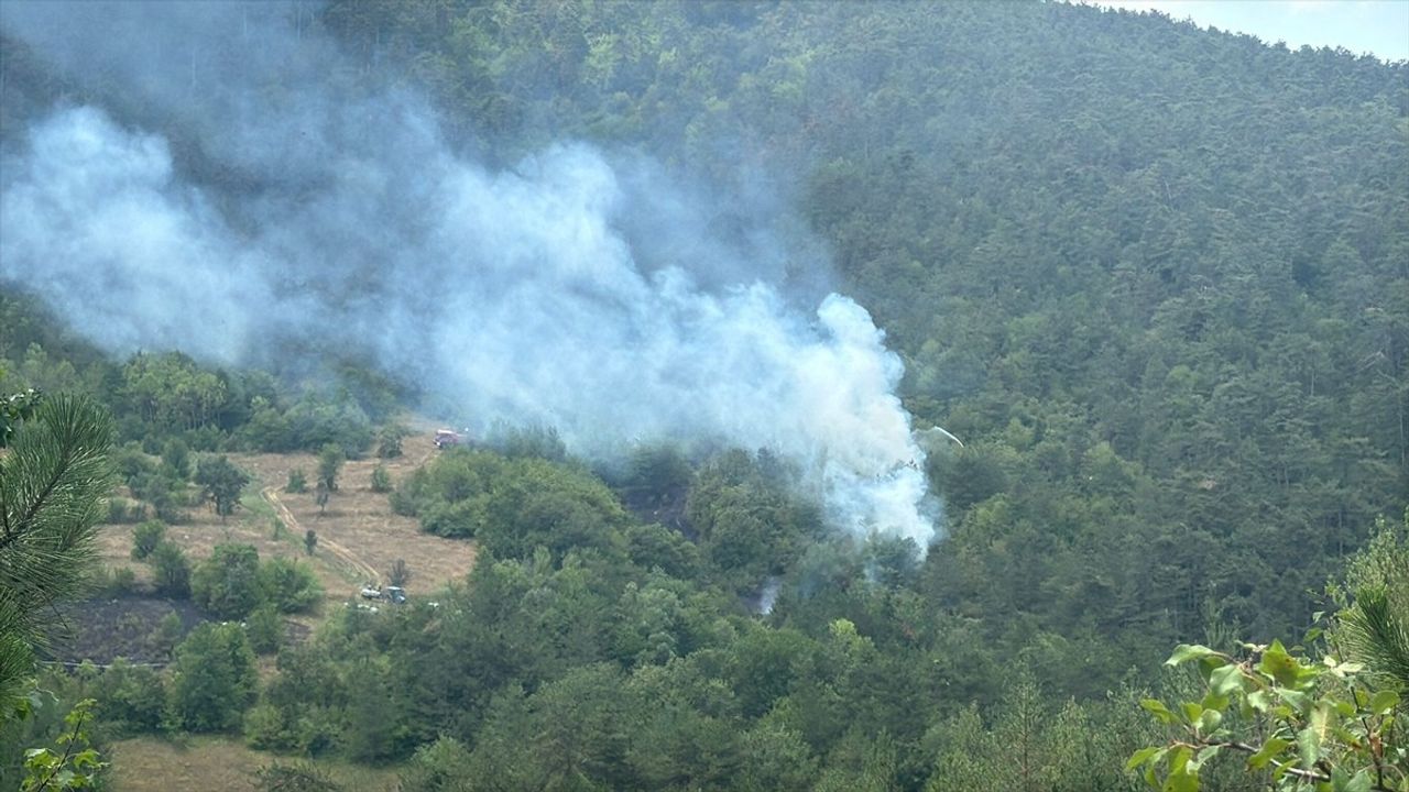 Bolu'daki Orman Yangını Kontrol Altına Alındı