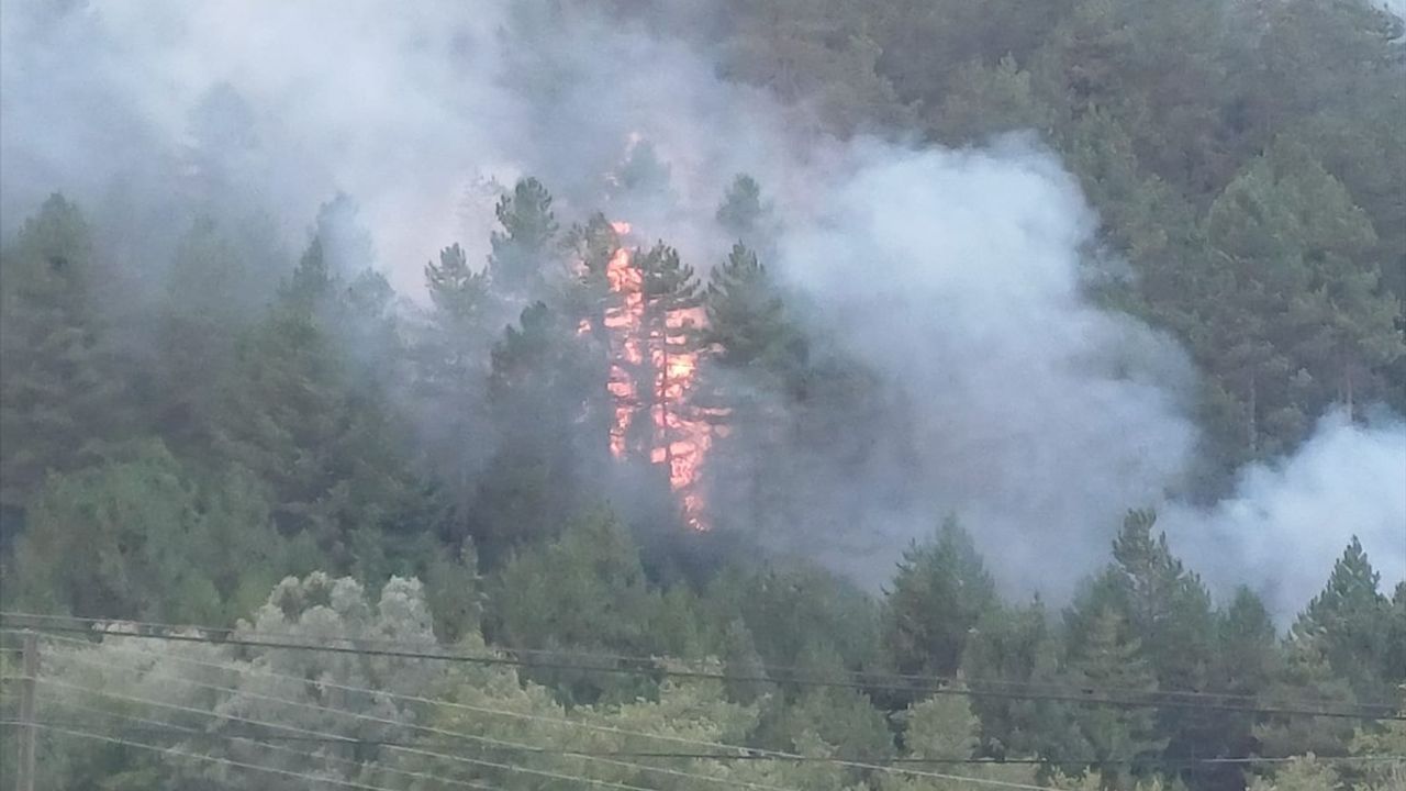 Bolu'nun Mengen ilçesinde orman yangını kısmen kontrol altına alındı