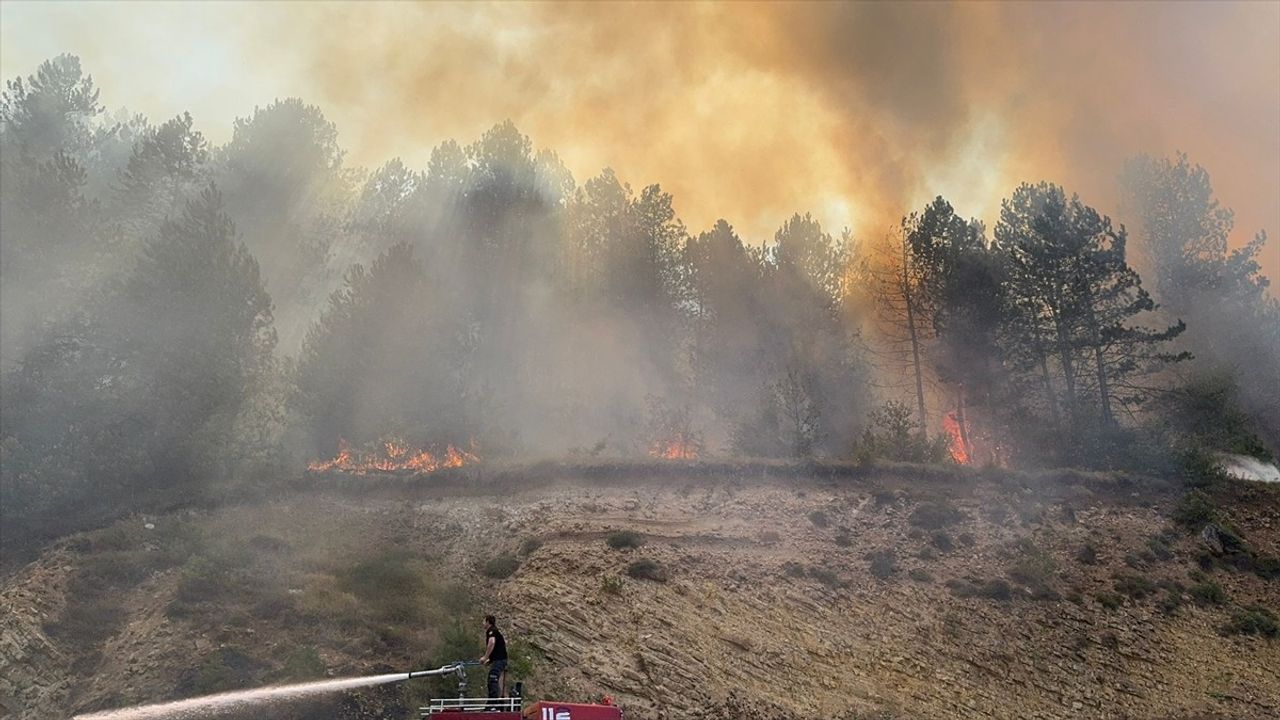 Bolu'nun Mengen İlçesinde Orman Yangınına Müdahale Devam Ediyor