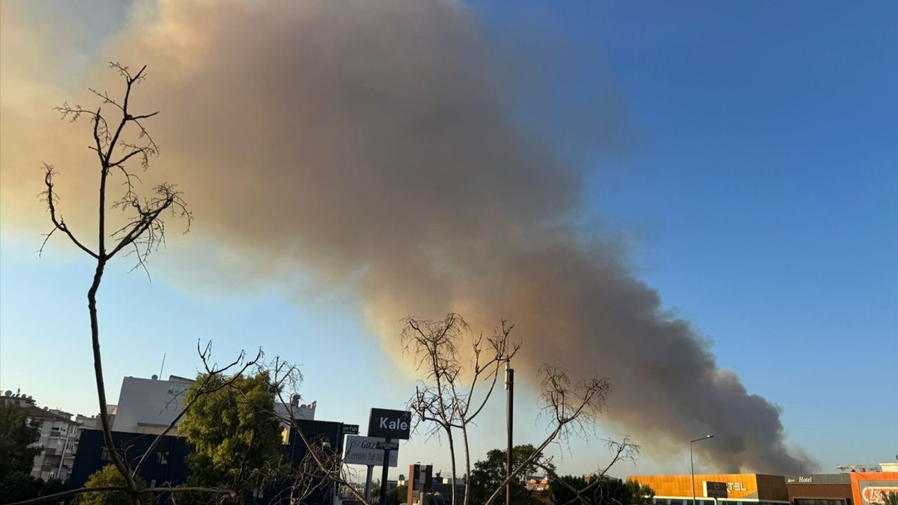 Buca'da minibüs yangını ormanlık alana sıçradı — havadan ve karadan müdahale sürüyor