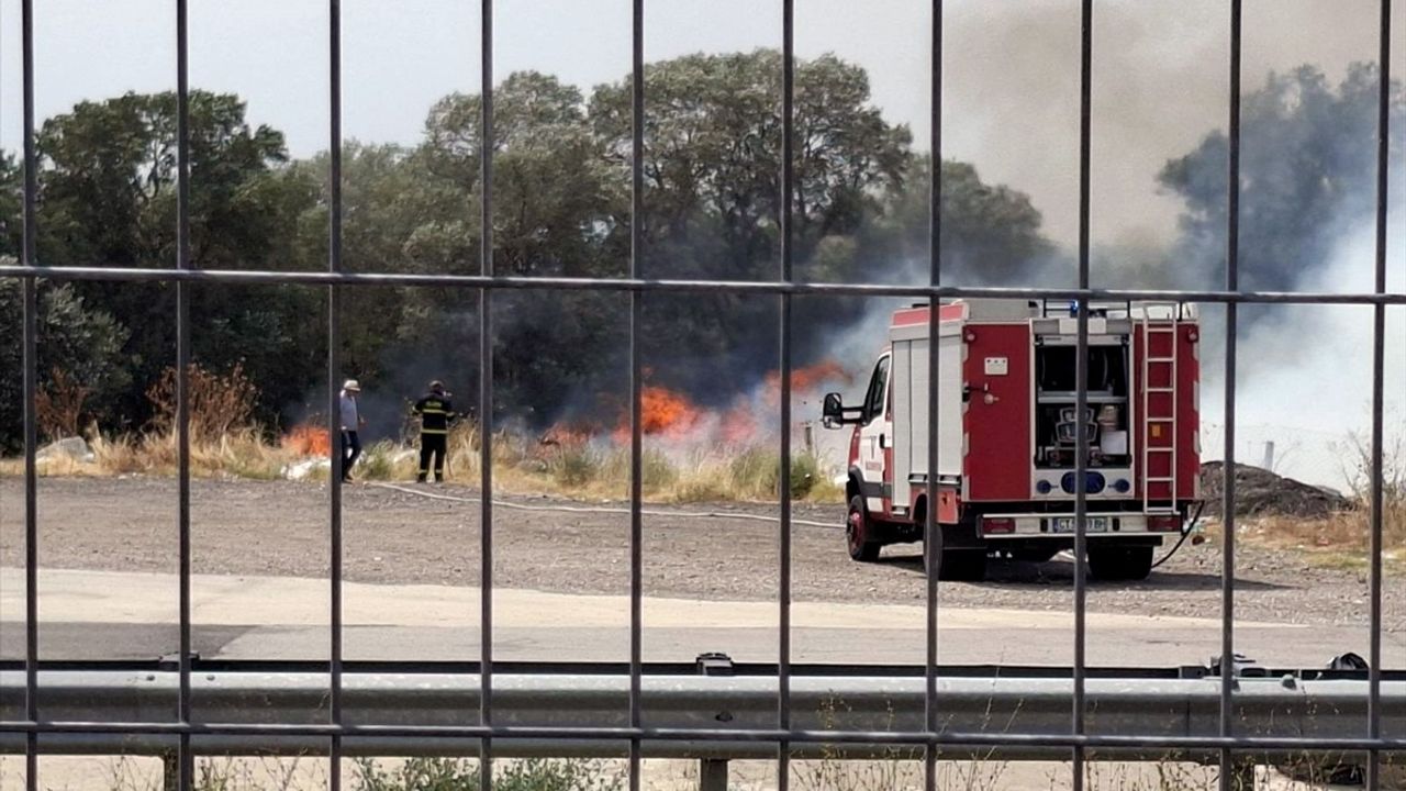 Bulgaristan'ın Güneyinde 30 Bin Dönümlük Yangınla Mücadele Devam Ediyor
