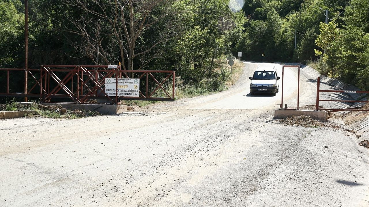 Bursa'da muhtar, ormana izinsiz girişleri önlemek için 3 noktaya bariyer kurdu