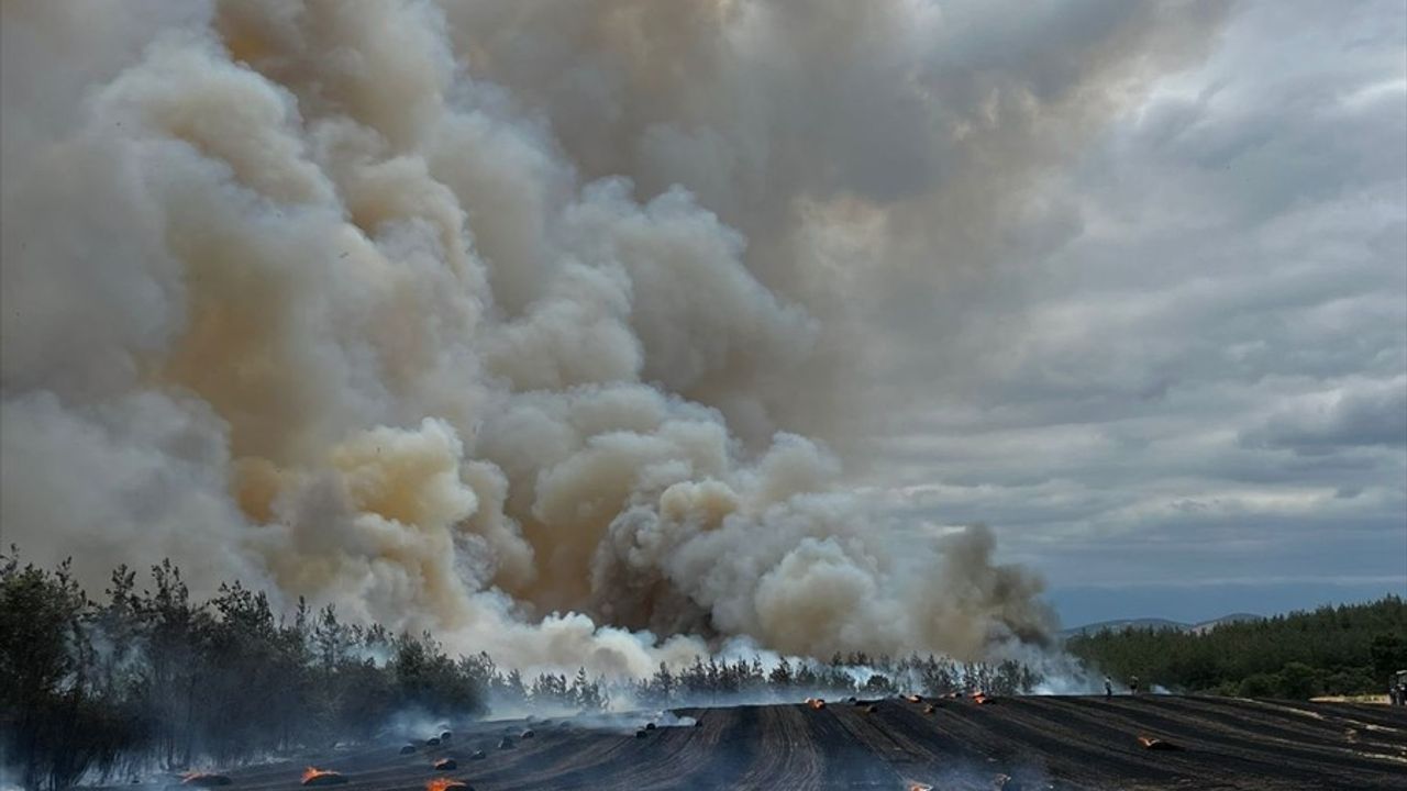 Bursa'da Orman Yangınına Hava ve Kara Müdahalesi