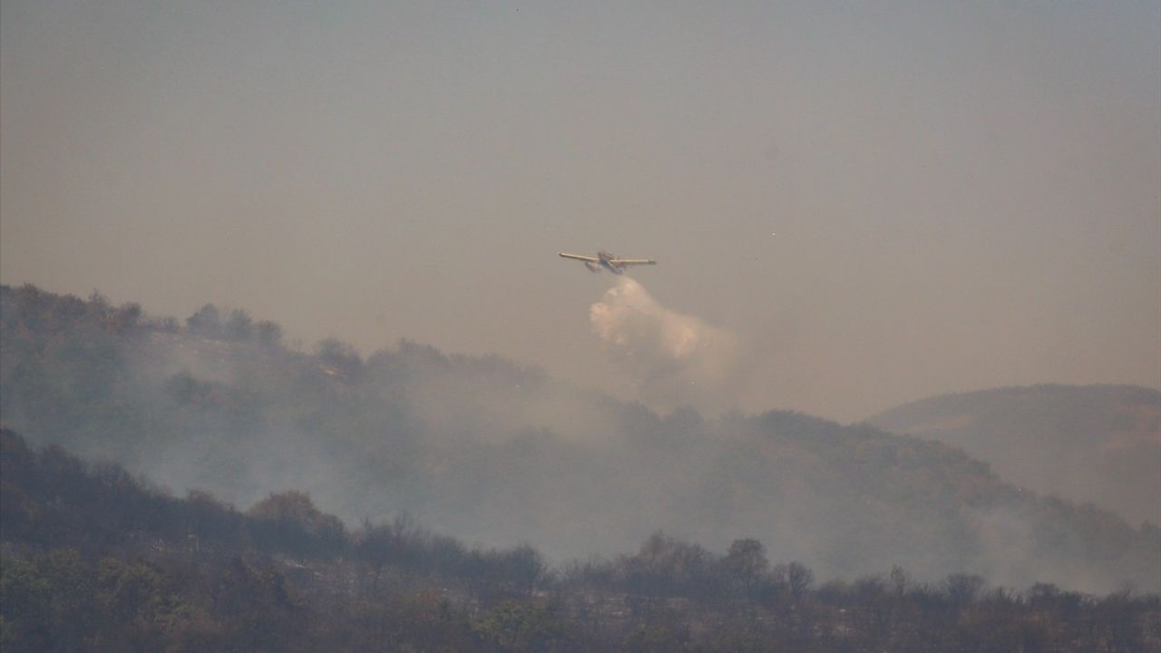 Bursa İznik'te Bayındır Mahallesi'nde çıkan makilik yangın kontrol altına alındı