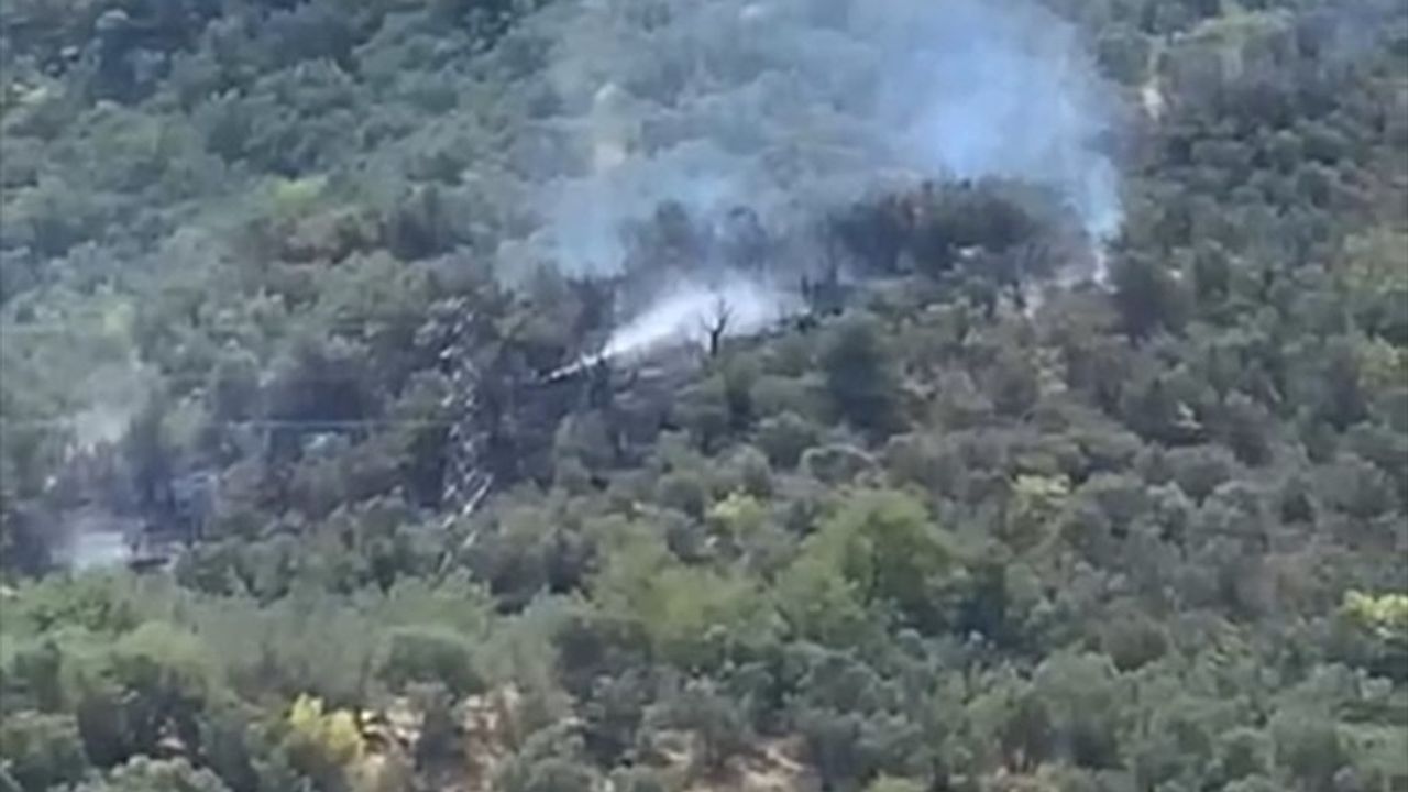 Bursa Mudanya'da zeytinlik yangını kontrol altına alındı