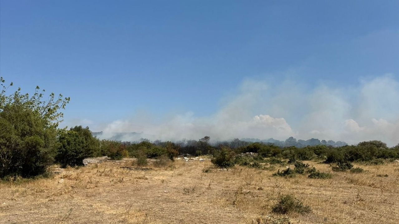 Bursa Nilüfer'de Başköy orman yangını kontrol altına alındı