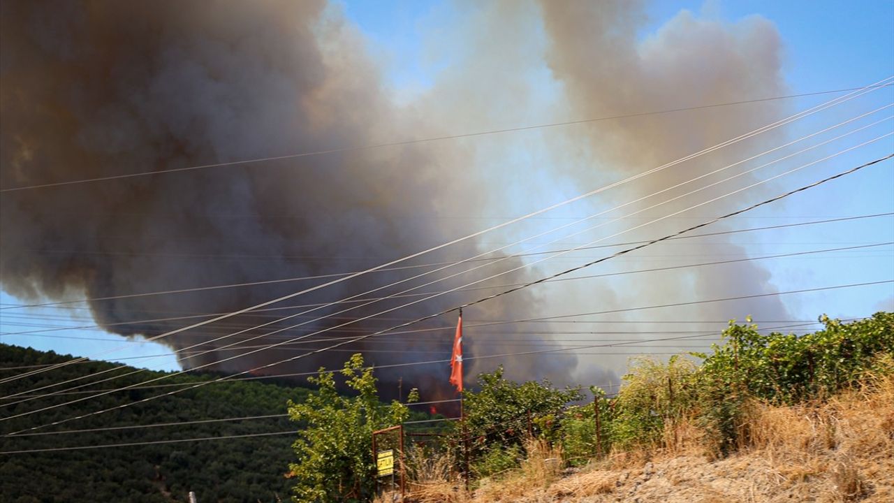 Bursa Yenişehir'deki orman yangınına hava ve kara müdahalesi sürüyor