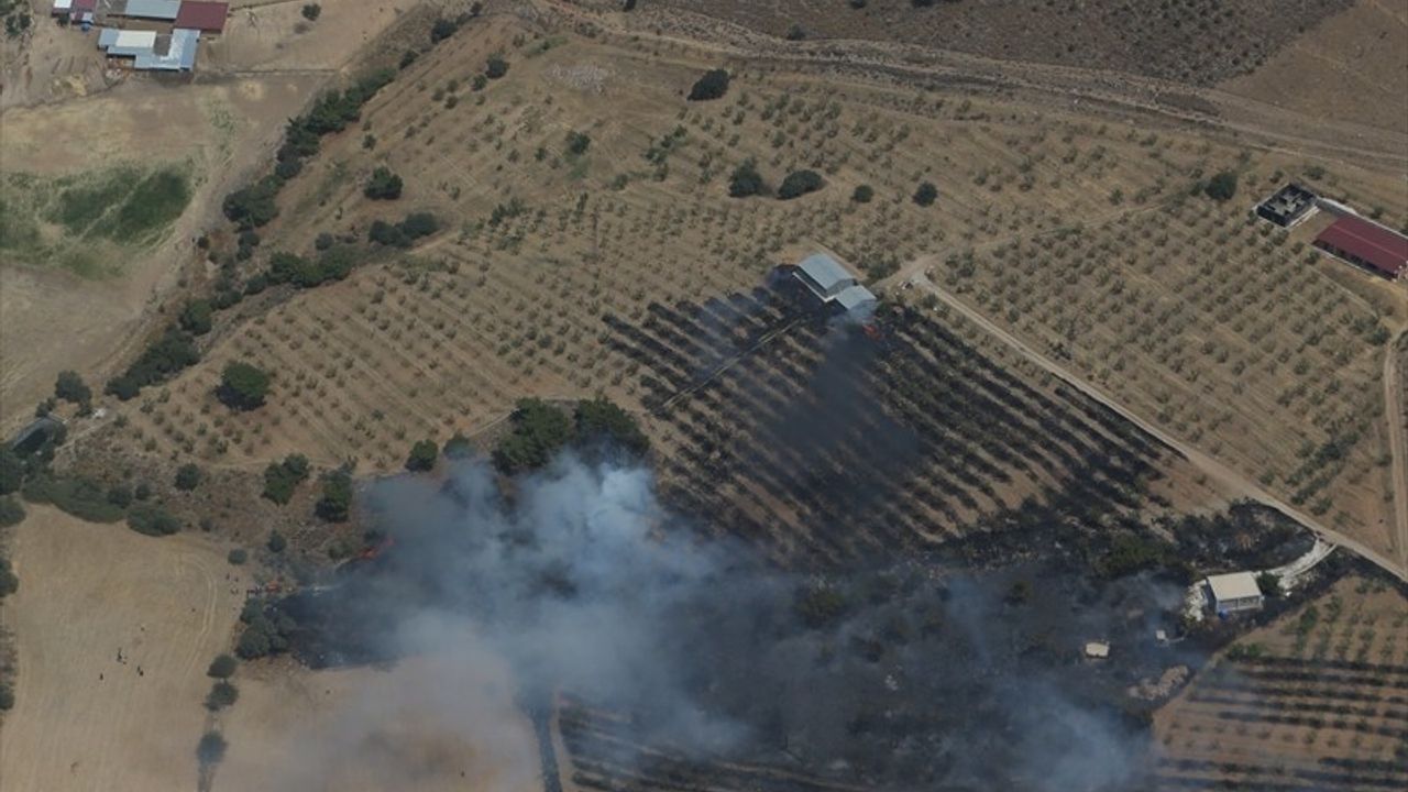 Çanakkale Ayvacık'ta Zirai Alanda Yangın Çıktı