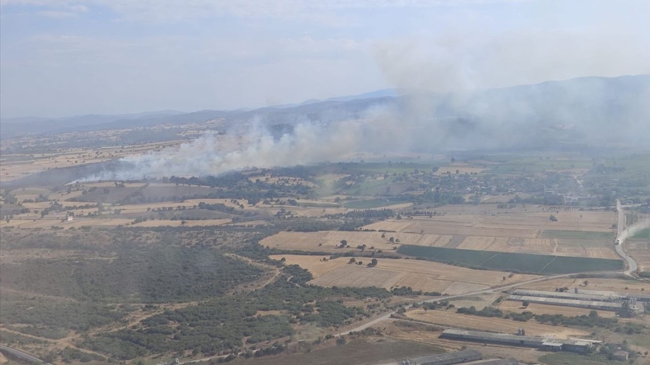 Çanakkale Biga'da Orman Dışı Alanda Yangınla Mücadele Devam Ediyor
