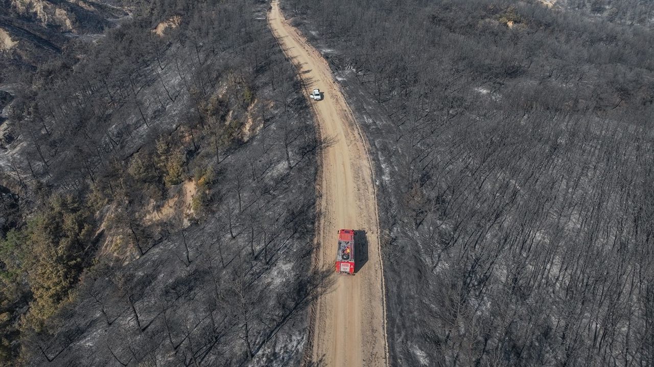 Çanakkale'de Gelibolu-Eceabat hattındaki orman yangını: Zarar gören alanlar dronla görüntülendi