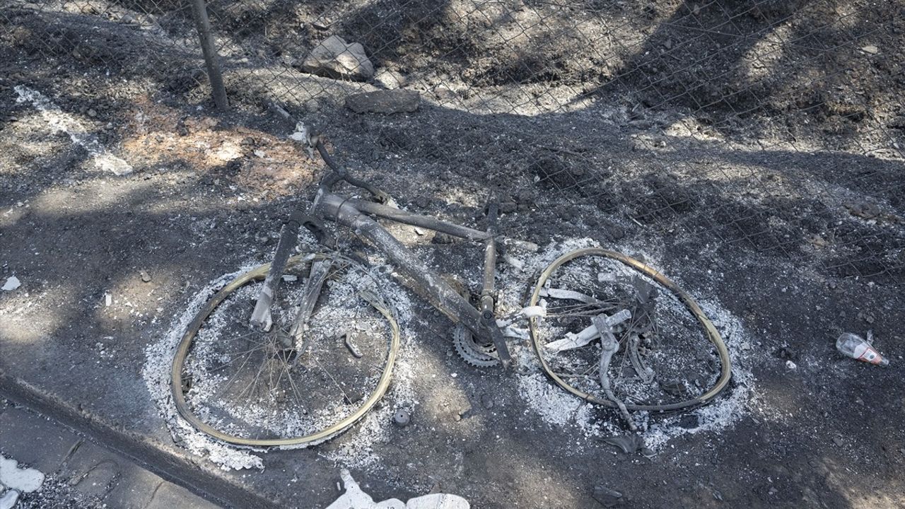 Çanakkale'de orman yangını: Çınarlı köyündeki site sakinleri alevlerin arasındaki anları anlattı