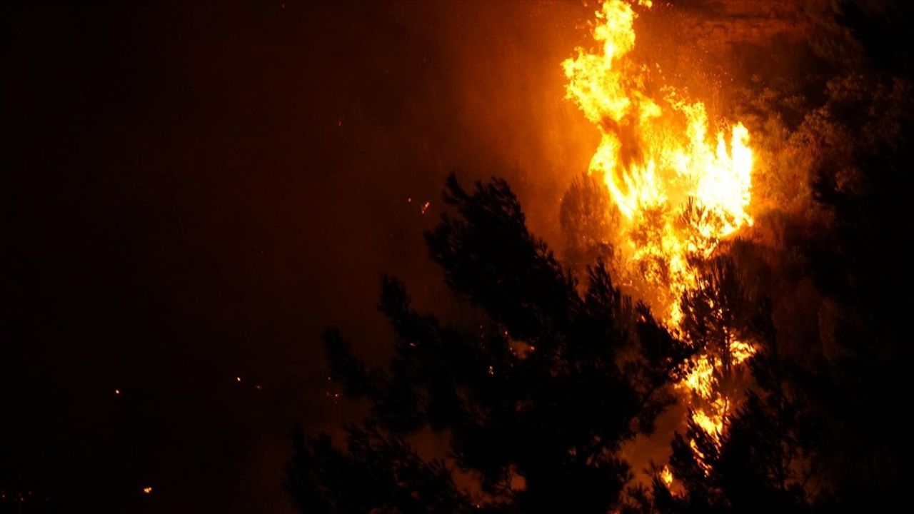 Çanakkale'de Orman Yangını: Yangına Hava ve Karadan Müdahale Ediliyor