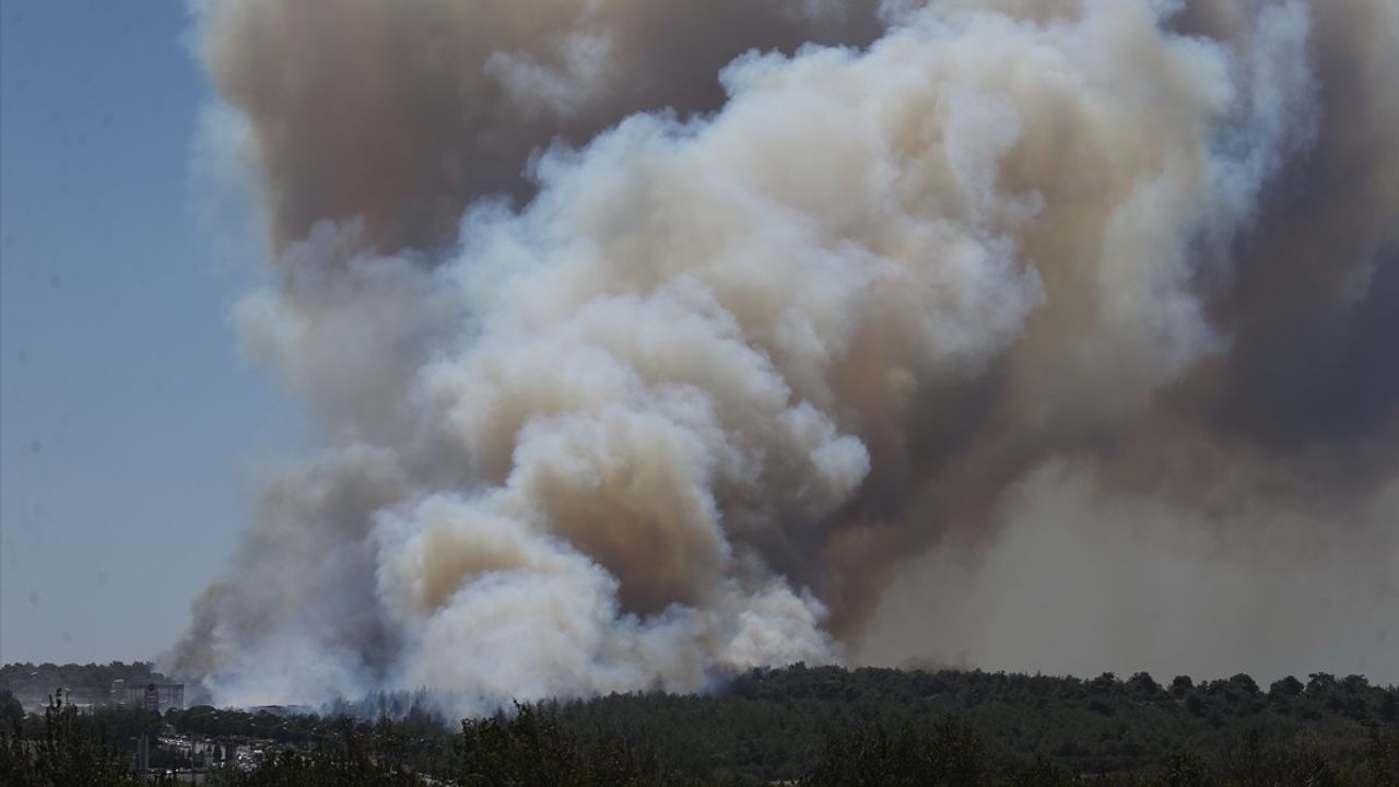 Çanakkale'de Orman Yangınına Havadan ve Karadan Müdahale Ediliyor
