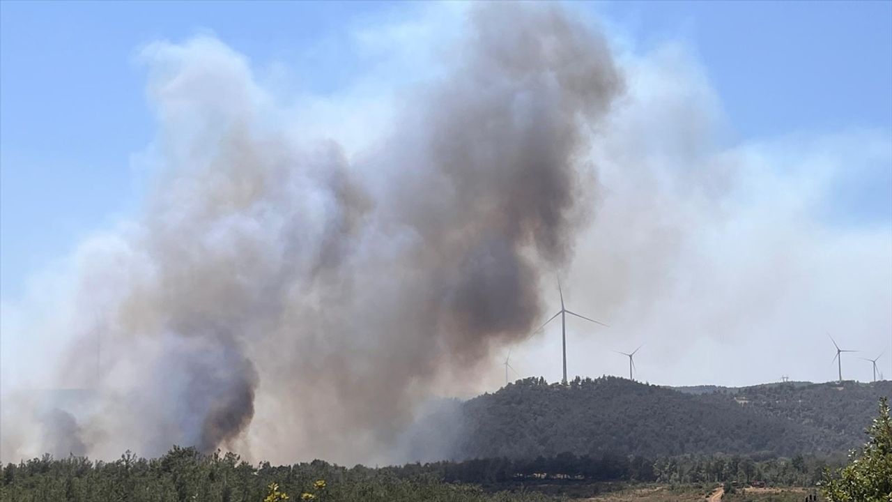 Çanakkale'de Salihler Barajı mevkisinde orman yangını — Havadan ve karadan müdahale sürüyor
