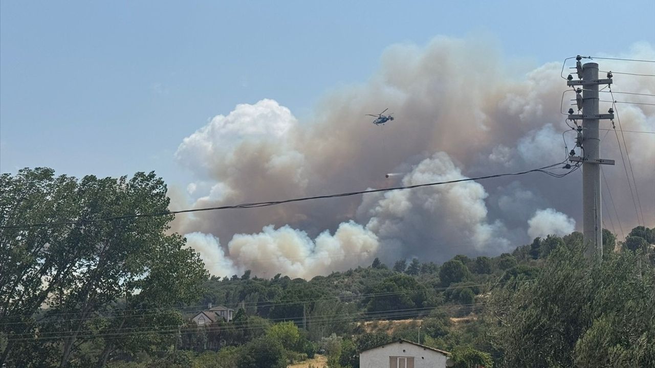 Çanakkale'de Tarım Arazisinde Başlayan Yangın Ormana Sıçradı