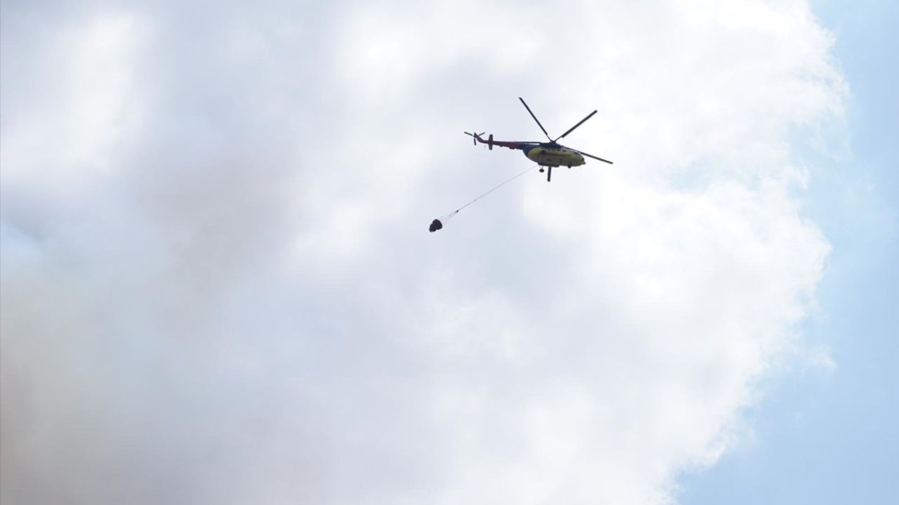 Çanakkale'de Tarım Arazisinde Çıkan Yangın Ormana Sıçradı, Müdahale Devam Ediyor