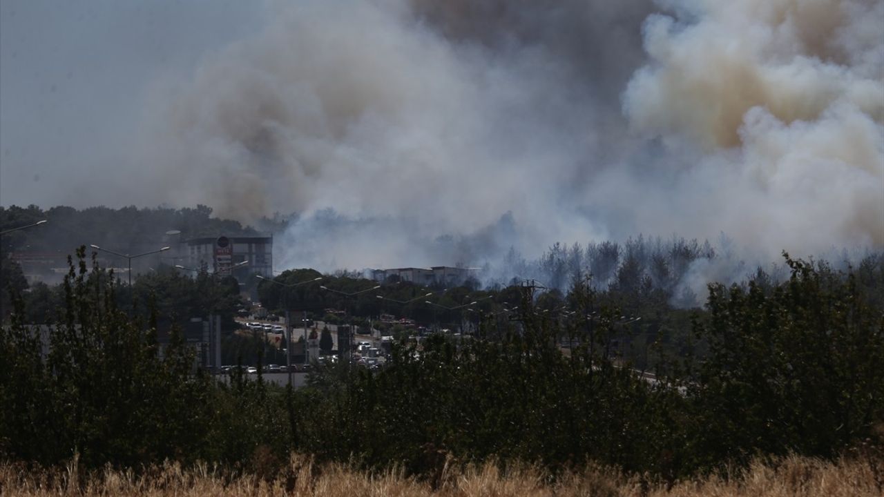 Çanakkale'deki Orman Yangınına Hızla Müdahale Ediliyor