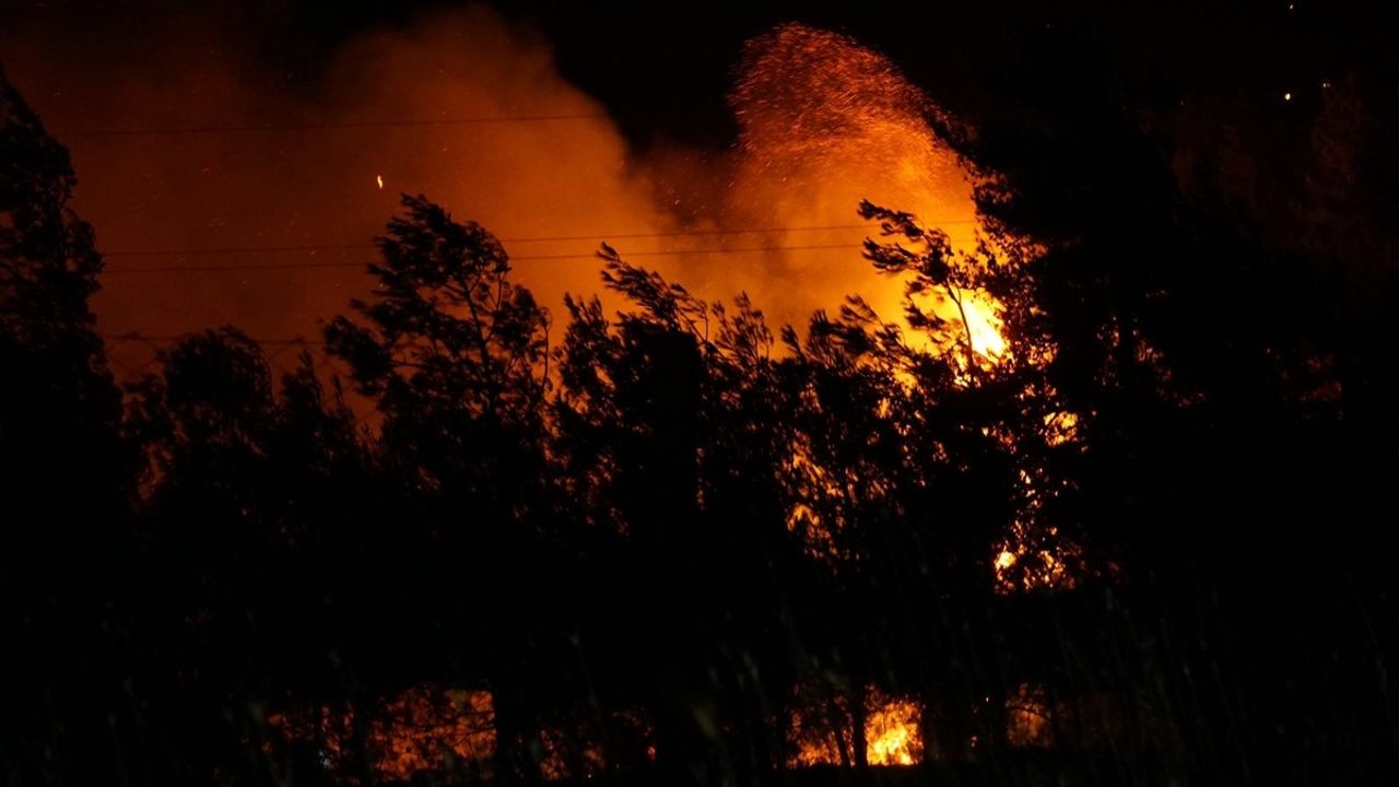 Çanakkale'deki Orman Yangınına Müdahale Devam Ediyor