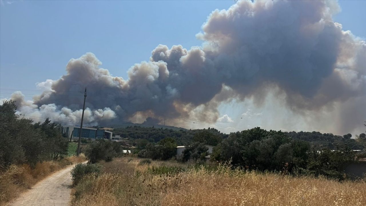Çanakkale'deki Yangın Kontrol Altına Alınıyor