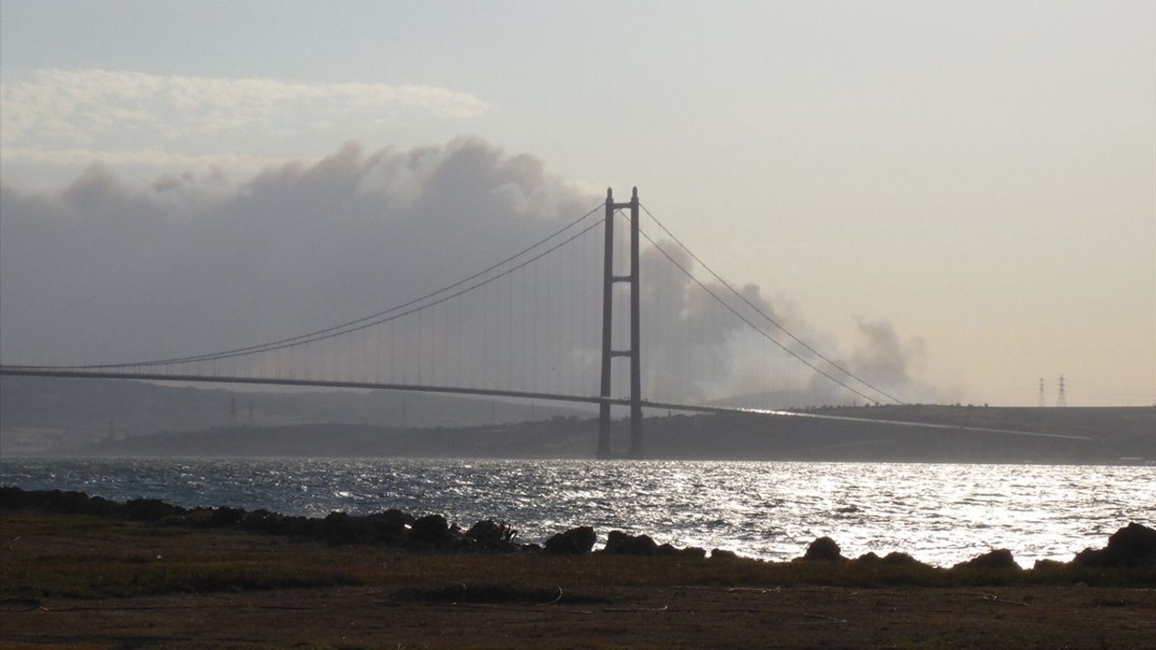 Çanakkale Gelibolu'da orman yangınına hava ve kara ekipleri müdahale ediyor