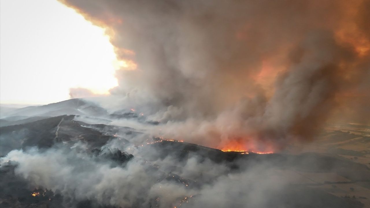 Çanakkale Gelibolu'da orman yangınına havadan ve karadan müdahale sürüyor