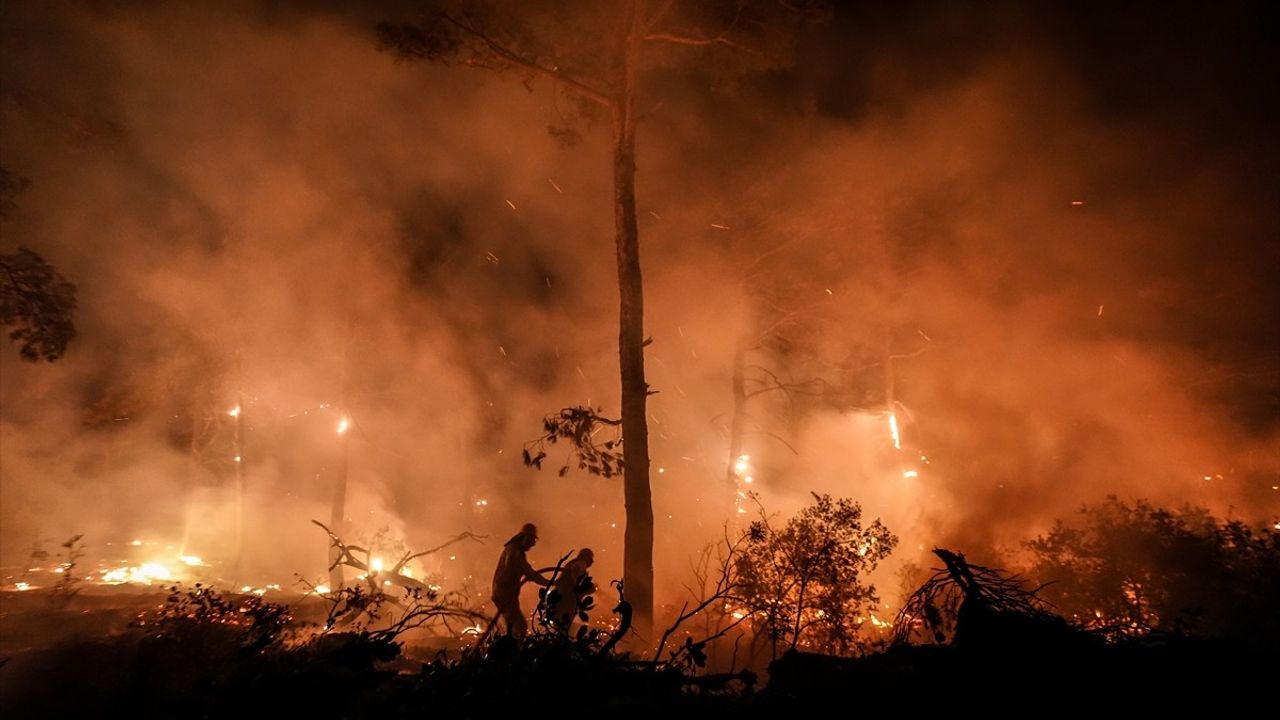 Çanakkale Gelibolu'da orman yangınına müdahale sürüyor — 143 kara aracı, 391 personel görevde