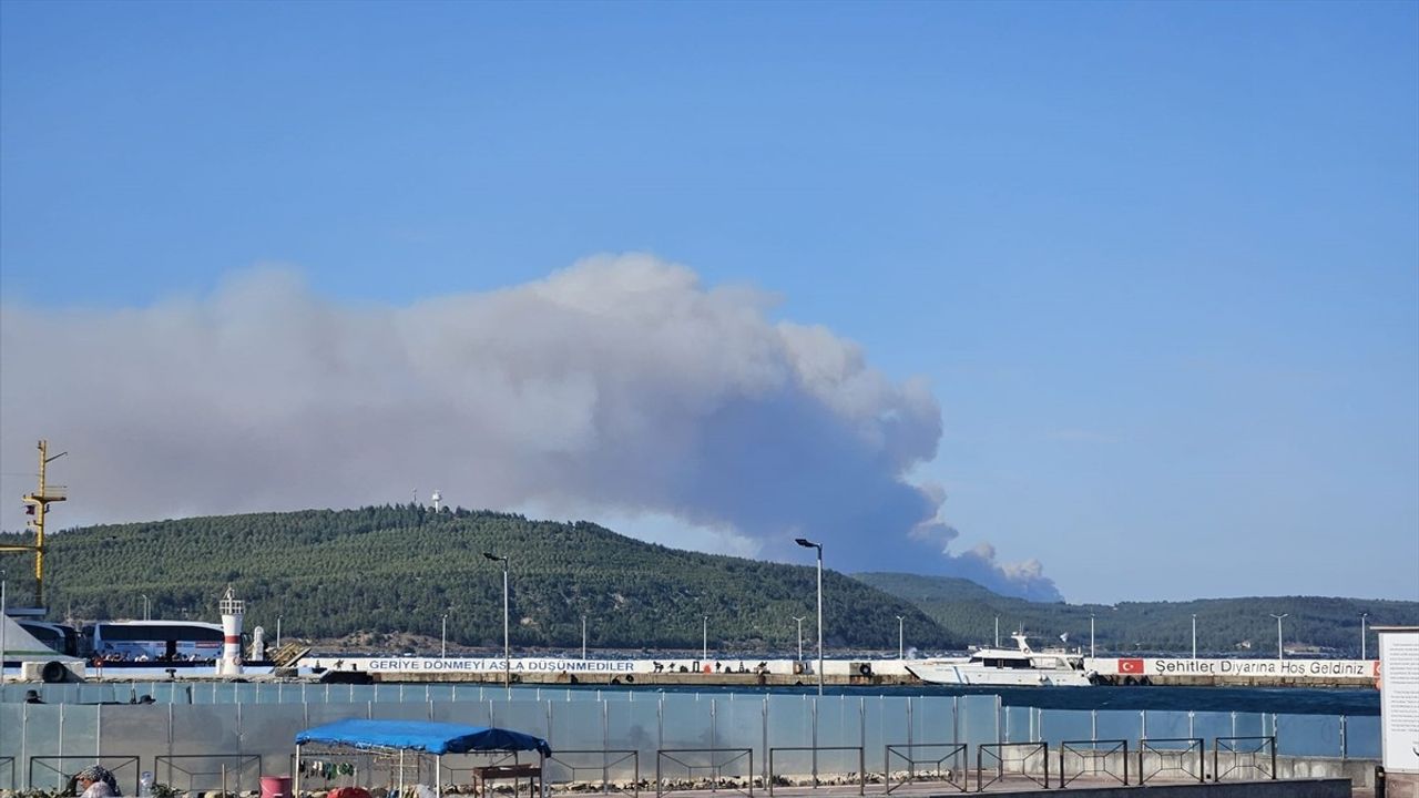 Çanakkale Gelibolu'da Tayfur yakınlarında orman yangını — Hava ve kara ekipleri müdahale ediyor