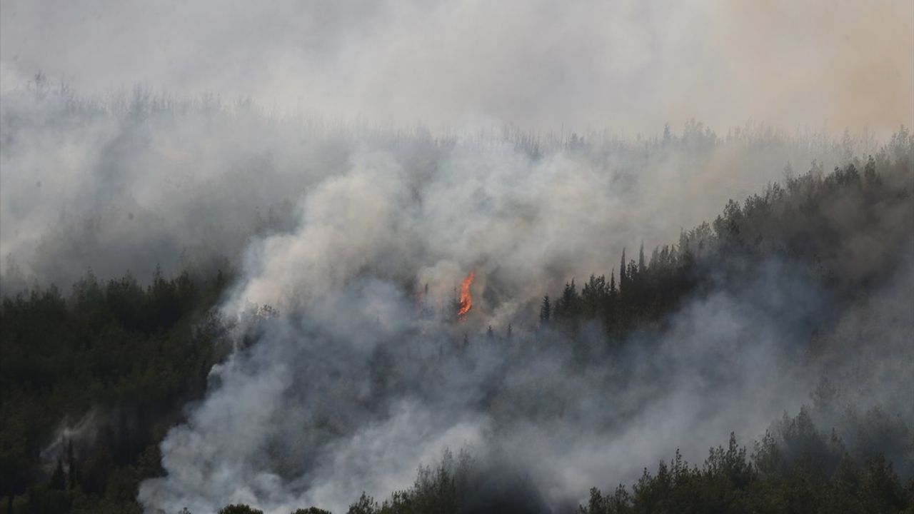 Çanakkale Gelibolu'daki orman yangını 2. gününde: 6 köy tedbir amaçlı tahliye edildi, söndürme çalışmaları sürüyor