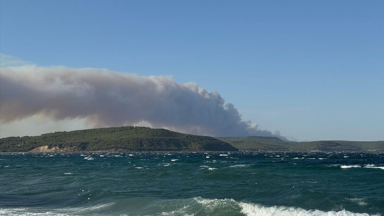 Çanakkale Gelibolu Tayfur yakınlarında orman yangınına havadan ve karadan müdahale sürüyor