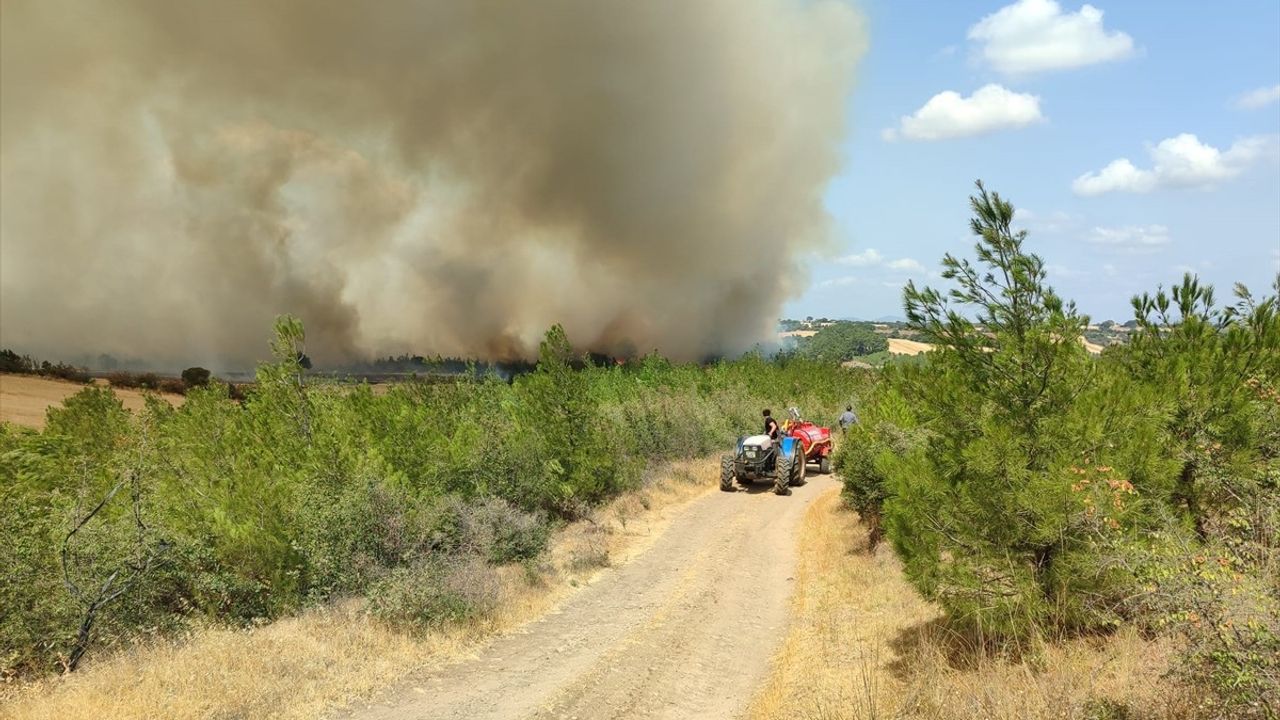 Çanakkale'nin Bayramiç İlçesinde Orman Yangını: 3 Köy Tahliye Edildi