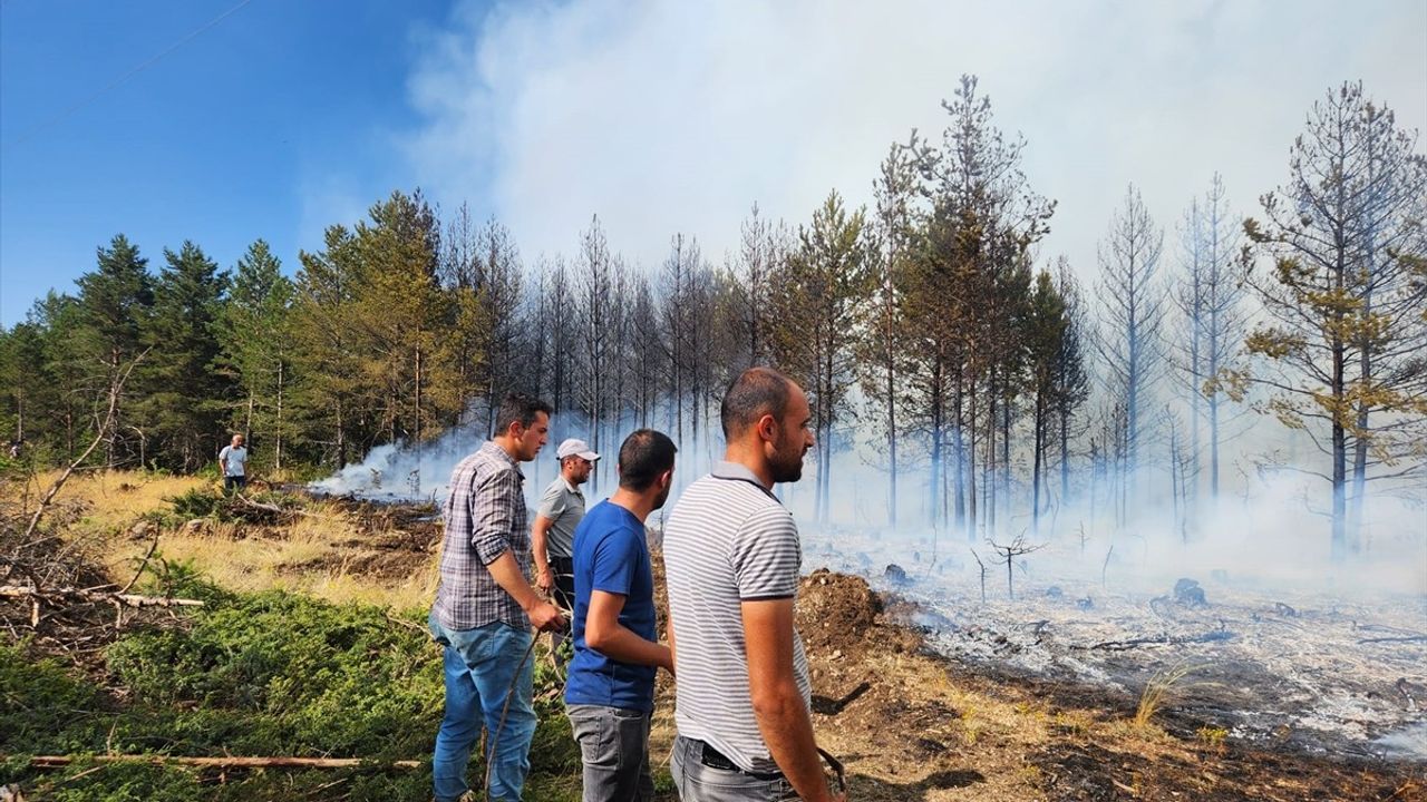 Çankırı Atkaracalar'da orman yangını kontrol altına alındı