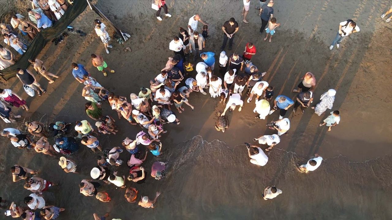Caretta Caretta 'Tuba' İkinci Dünya Turuna Çıktı