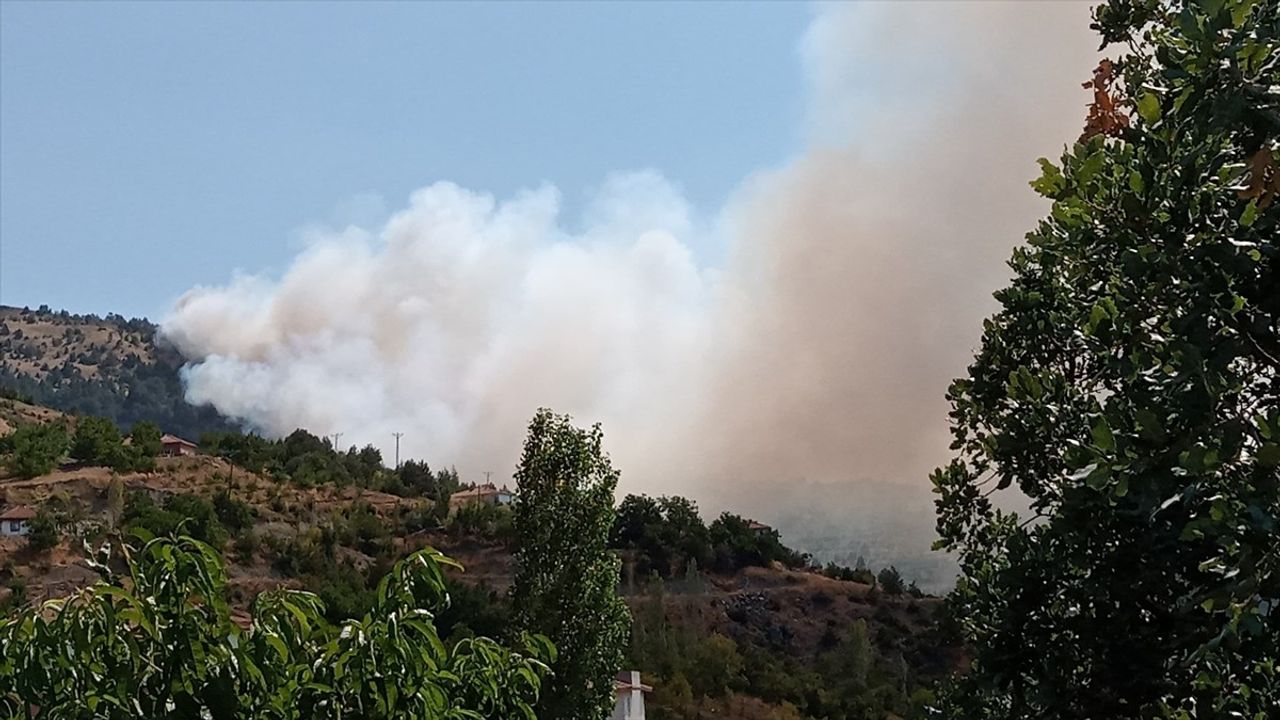 Çorum'da Çalyayla köyündeki orman yangınına müdahale sürüyor; helikopter desteği sağlandı
