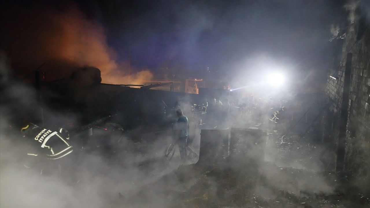 Çorum'da Mandıra Yangını: 100'den Fazla Kuzu Telef Oldu