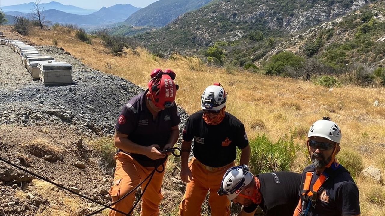 Datça'da 5 metre derinliğindeki kuyuya düşen köpek kurtarıldı