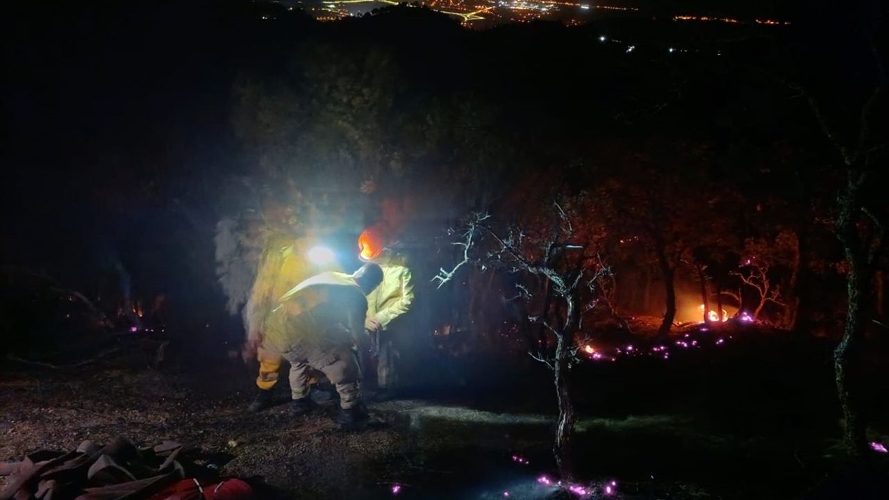 Denizli-Buldan ile Aydın-Buharkent arasındaki orman yangını büyük ölçüde kontrol altına alındı
