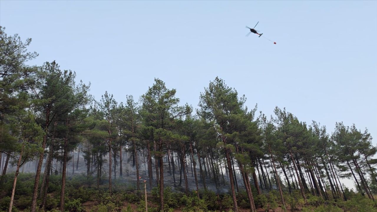 Denizli'nin Acıpayam ilçesinde orman yangını kontrol altına alındı