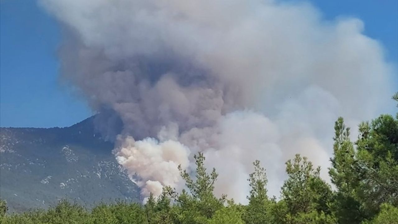 Denizli Pamukkale'de Orman Yangınına Havadan ve Karadan Müdahale Sürüyor