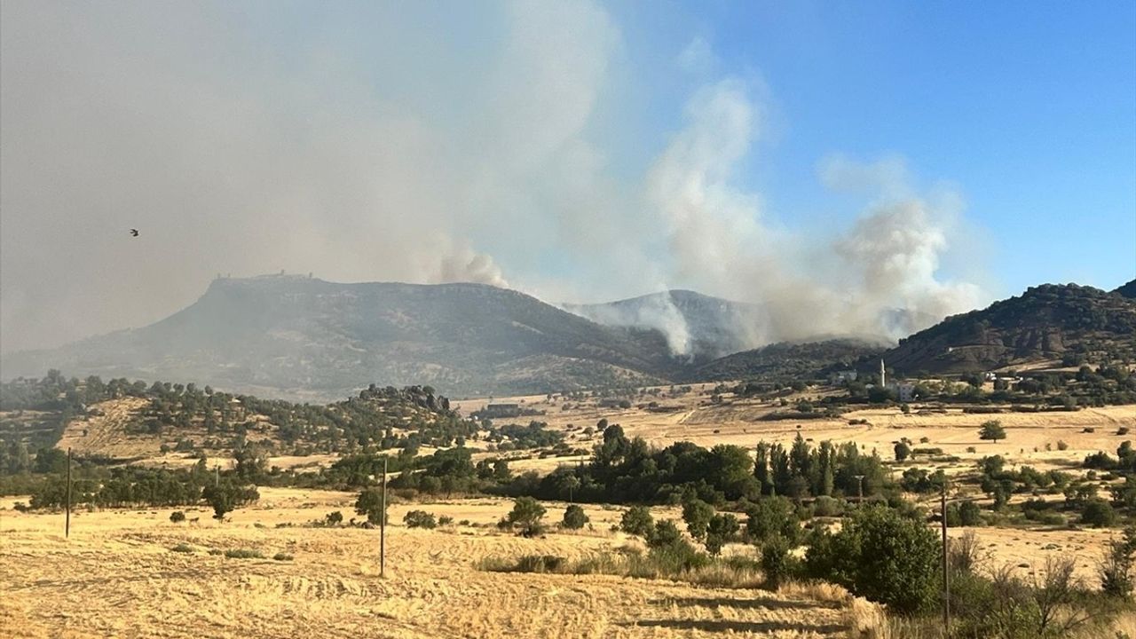Diyarbakır'da Hani ve Lice ilçelerinde orman yangınlarına müdahale sürüyor