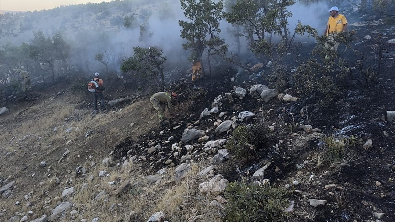 Diyarbakır Lice'de meşe ormanında çıkan yangın söndürüldü: 60 hektar tarım, 35 hektar orman zarar gördü