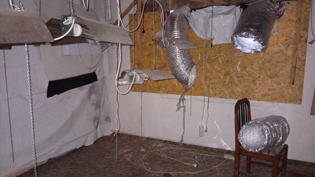 Düzce'de fotokapanla tespit edilen kenevir ekimi: Zanlı A.Ö. gözaltında