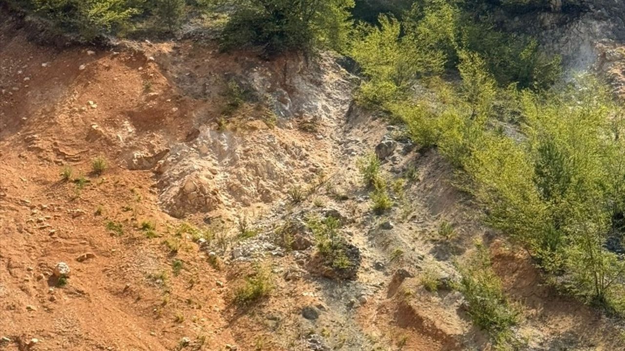 Düzce'de kayalıklarda mahsur kalan köpek 'Cesur' kurtarıldı